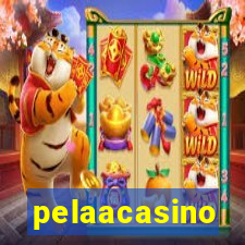 pelaacasino