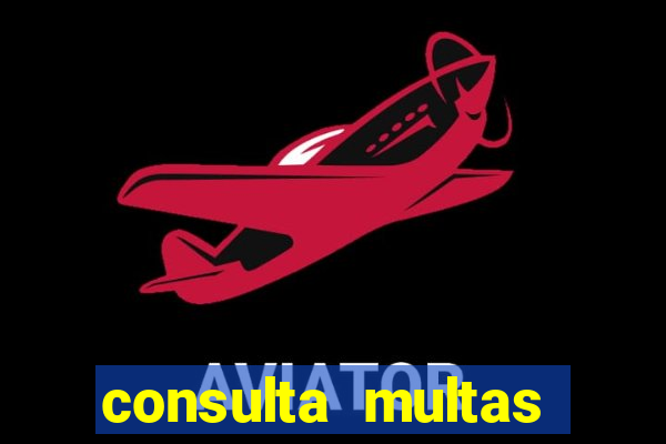 consulta multas detran mg