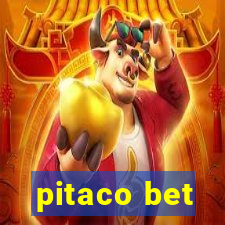 pitaco bet