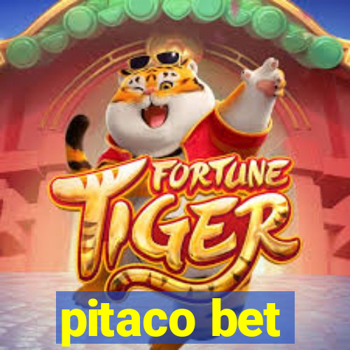 pitaco bet