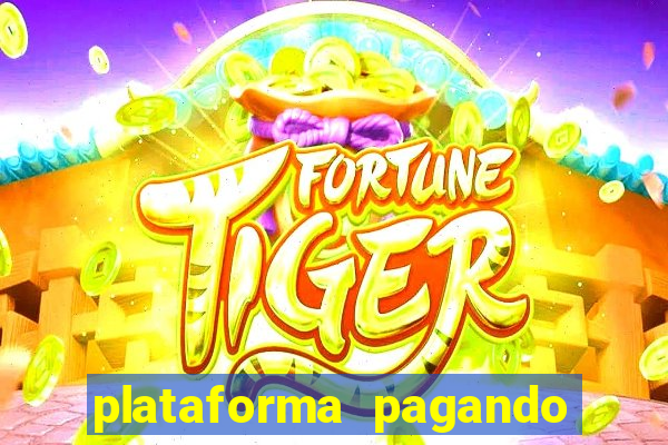 plataforma pagando no cadastro tigre