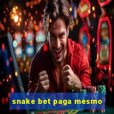 snake bet paga mesmo