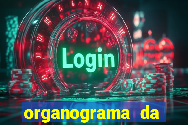 organograma da cacau show