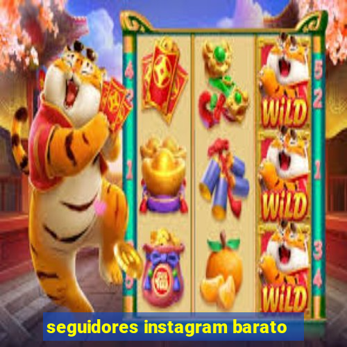 seguidores instagram barato