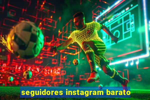 seguidores instagram barato