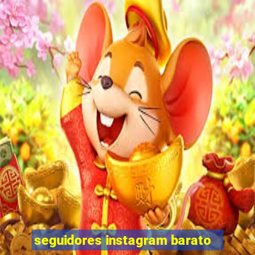 seguidores instagram barato