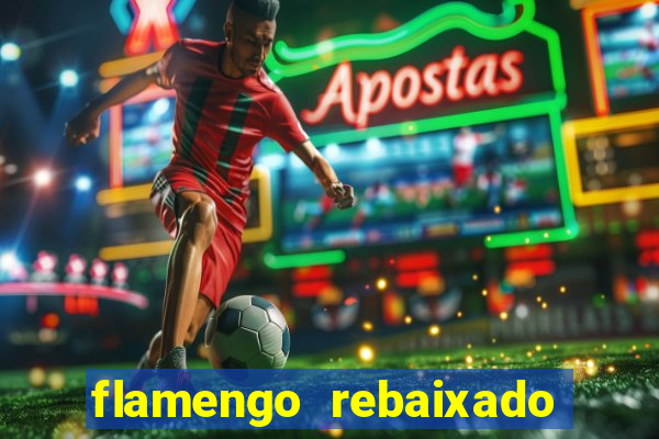 flamengo rebaixado em 1995