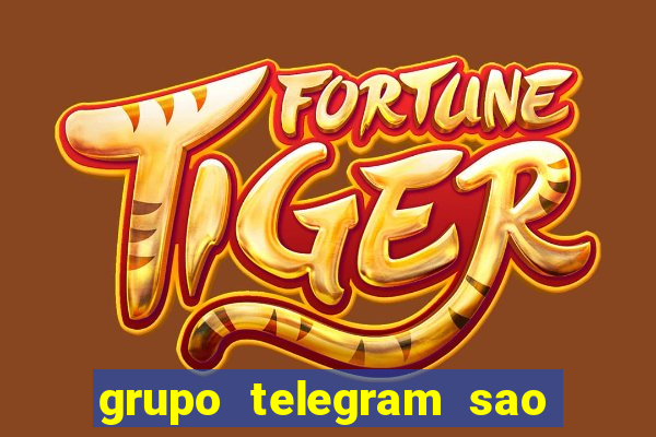 grupo telegram sao jose do rio preto