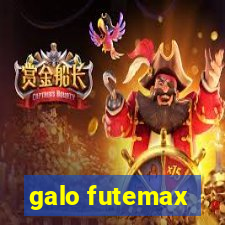 galo futemax