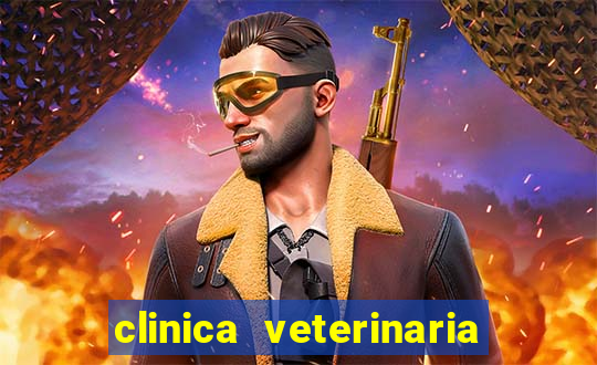 clinica veterinaria cuidar betim