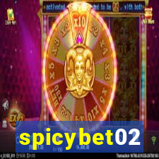 spicybet02