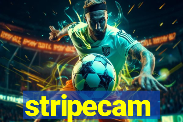 stripecam