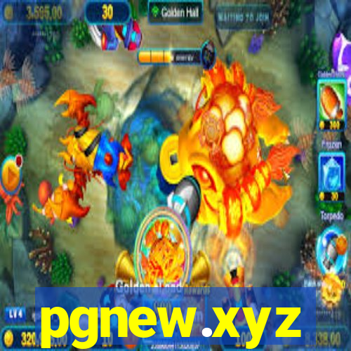 pgnew.xyz