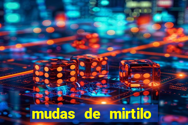 mudas de mirtilo em porto alegre