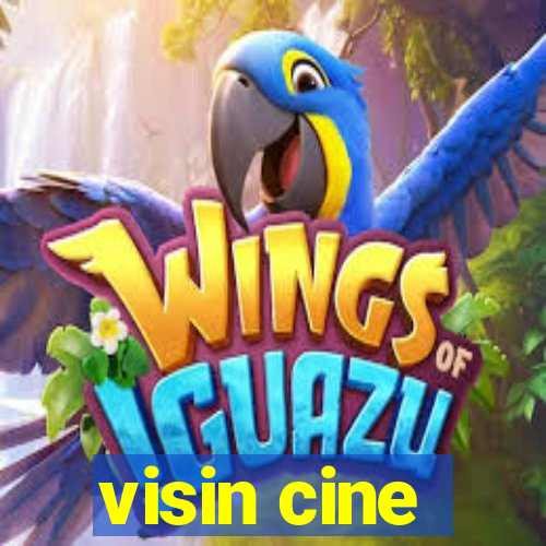 visin cine