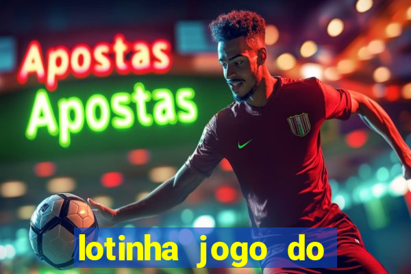 lotinha jogo do bicho como funciona