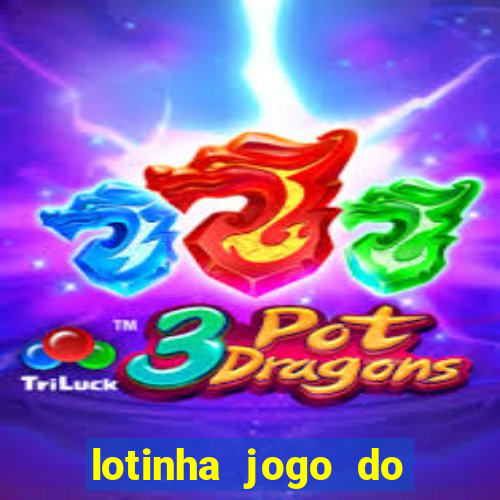 lotinha jogo do bicho como funciona