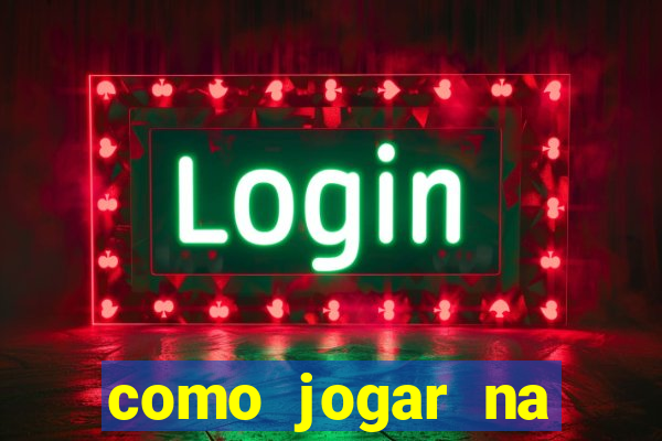 como jogar na lotinha do jogo do bicho