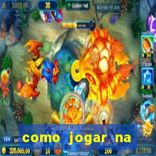 como jogar na lotinha do jogo do bicho