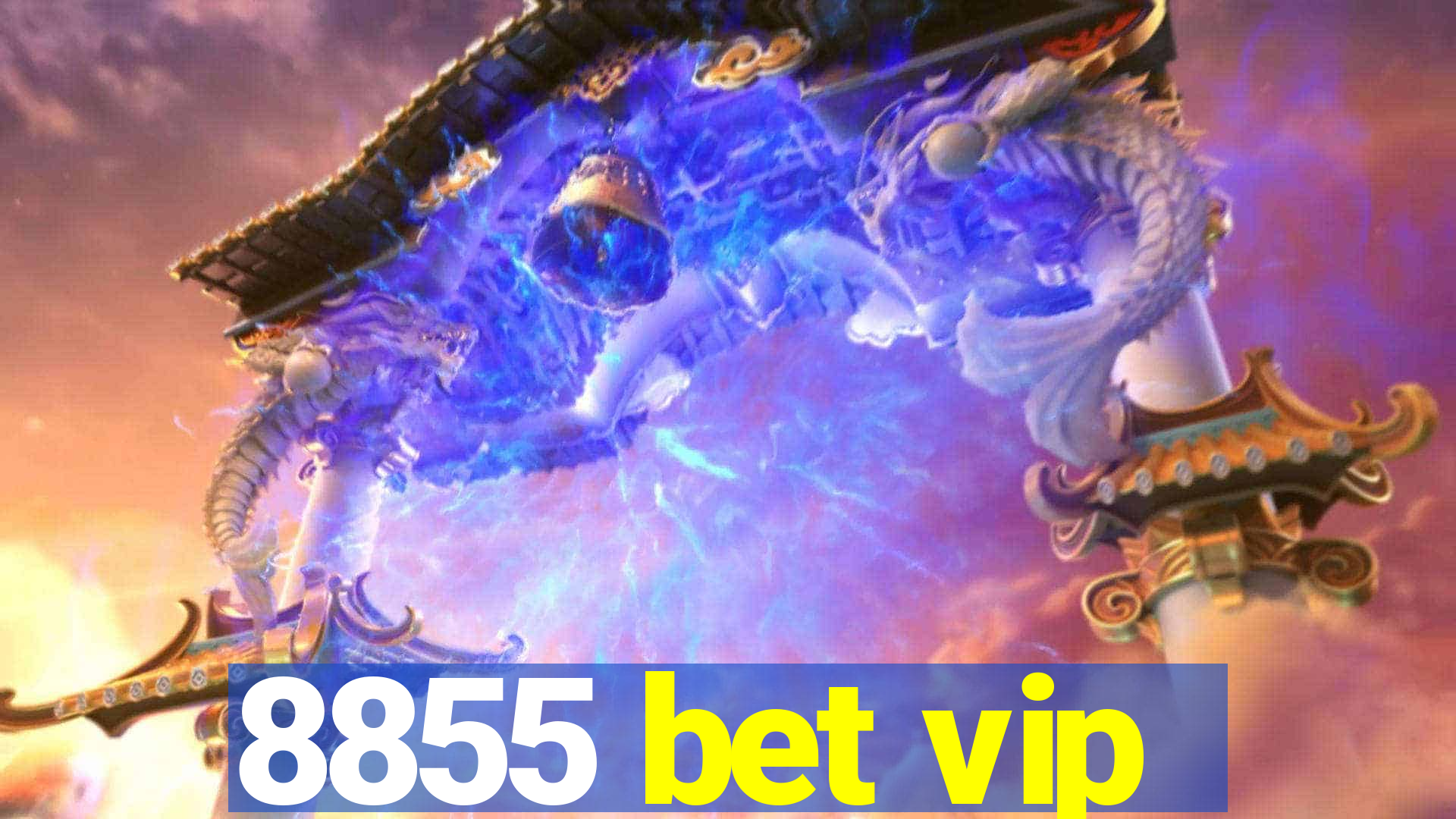 8855 bet vip