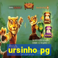 ursinho pg