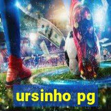 ursinho pg