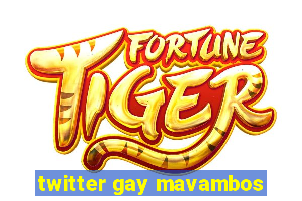 twitter gay mavambos