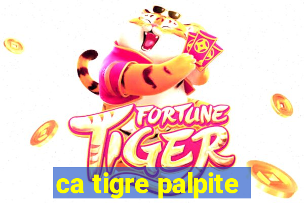 ca tigre palpite