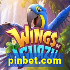 pinbet.com