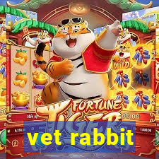 vet rabbit