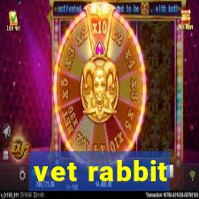 vet rabbit