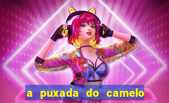 a puxada do camelo no jogo do bicho