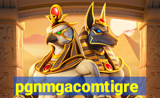 pgnmgacomtigre