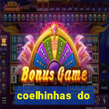 coelhinhas do brasil jp