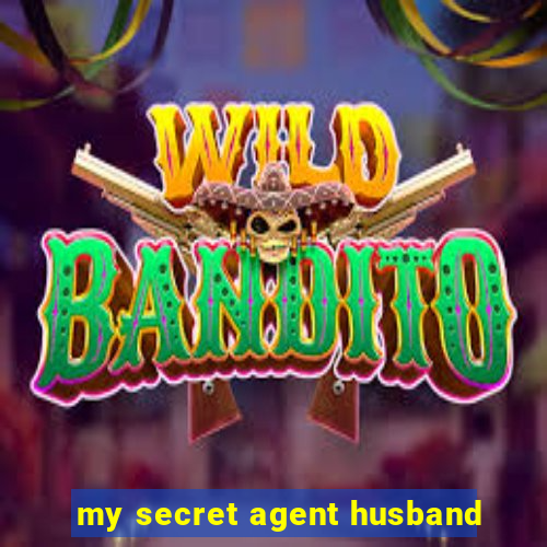 my secret agent husband