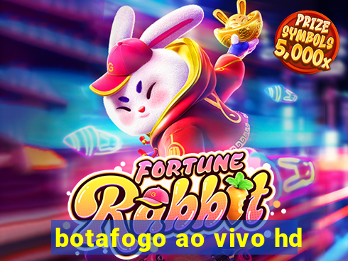botafogo ao vivo hd