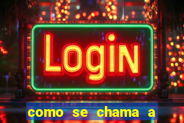 como se chama a empresa que distribui as cartas no brasil