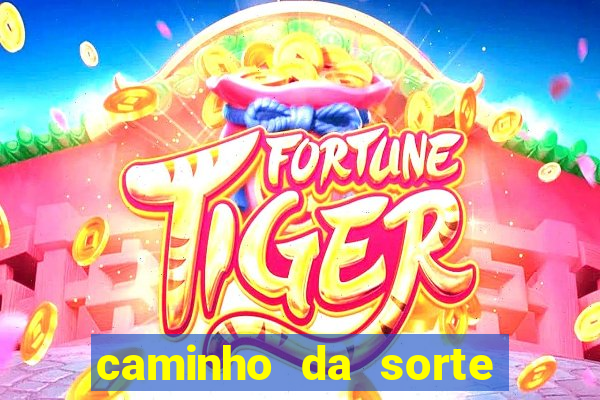 caminho da sorte esporte net