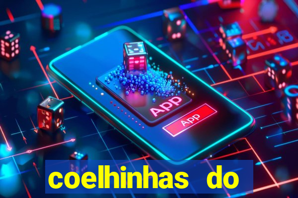 coelhinhas do brasil recife