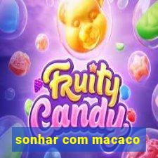 sonhar com macaco