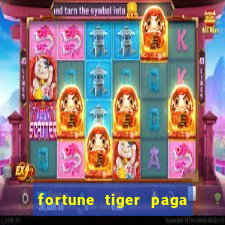 fortune tiger paga de madrugada