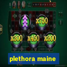 plethora maine