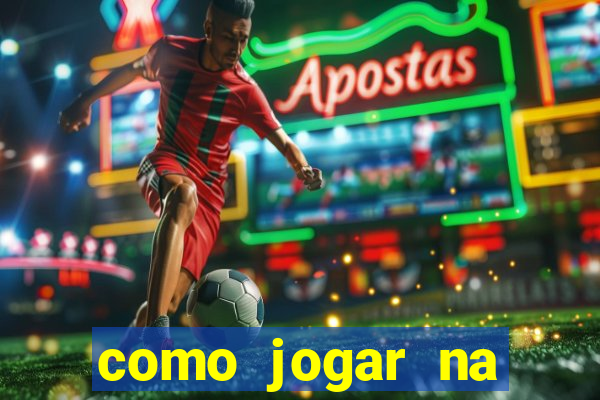 como jogar na seninha online