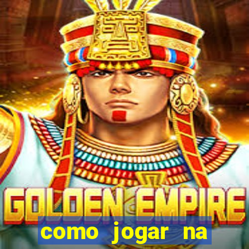 como jogar na seninha online