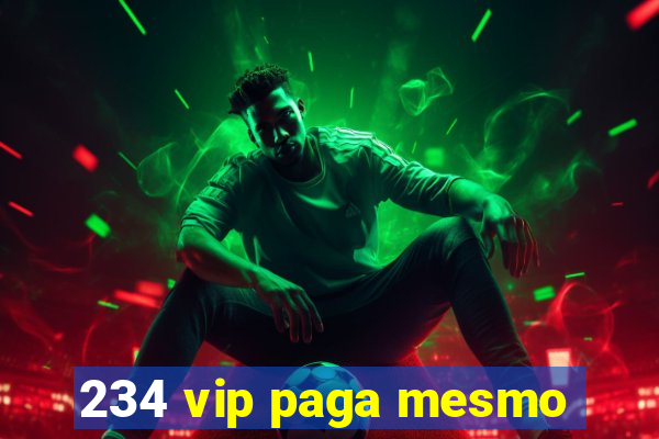 234 vip paga mesmo