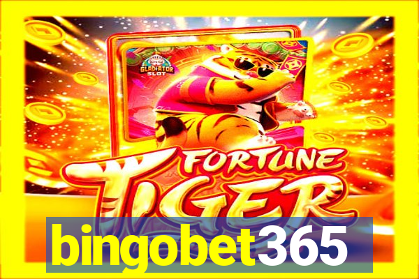 bingobet365