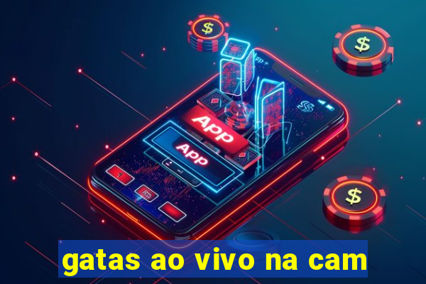 gatas ao vivo na cam