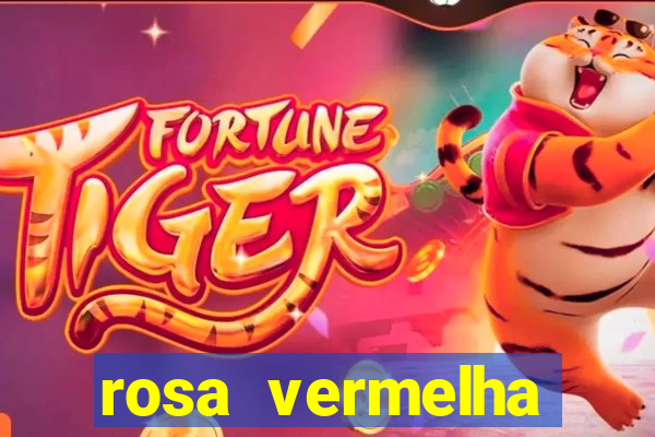 rosa vermelha (letra e cifra)