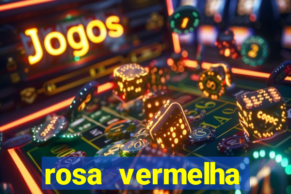 rosa vermelha (letra e cifra)