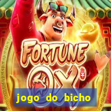 jogo do bicho natal rn